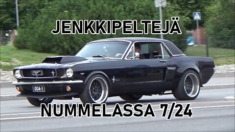 Jenkkipeltejä Nummelassa 724