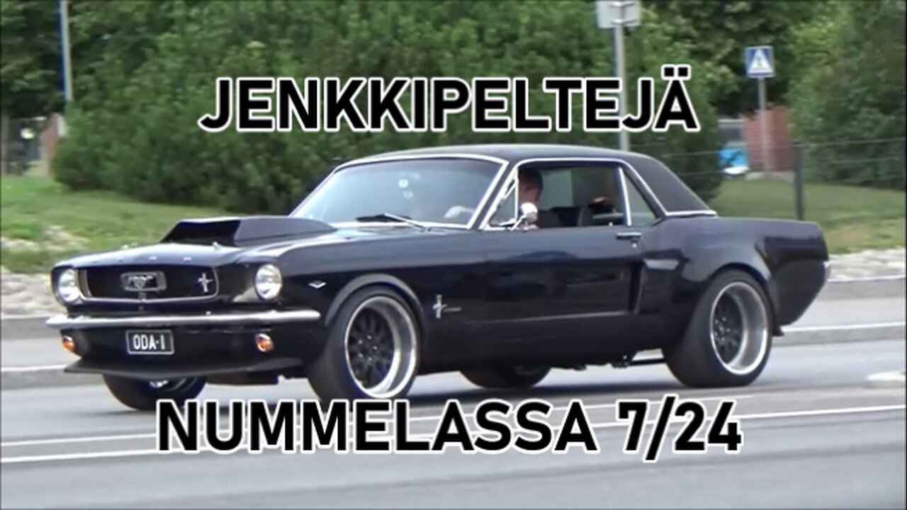 Jenkkipeltejä Nummelassa 724