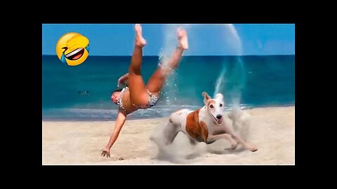 Best Funny Animal Videos 2022 😂 - Funniest Dogs And Cats Videos 😻