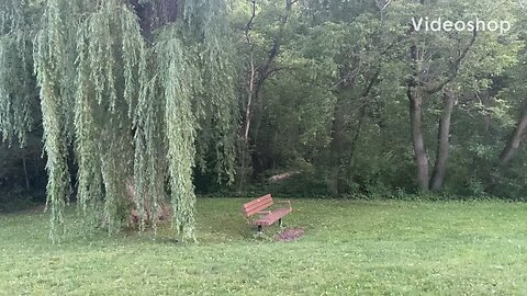 Beautiful Toronto in Summer