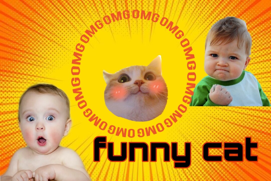 Funny cat and baby