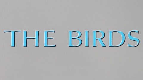 The Birds (1963) ~ Full Movie ~