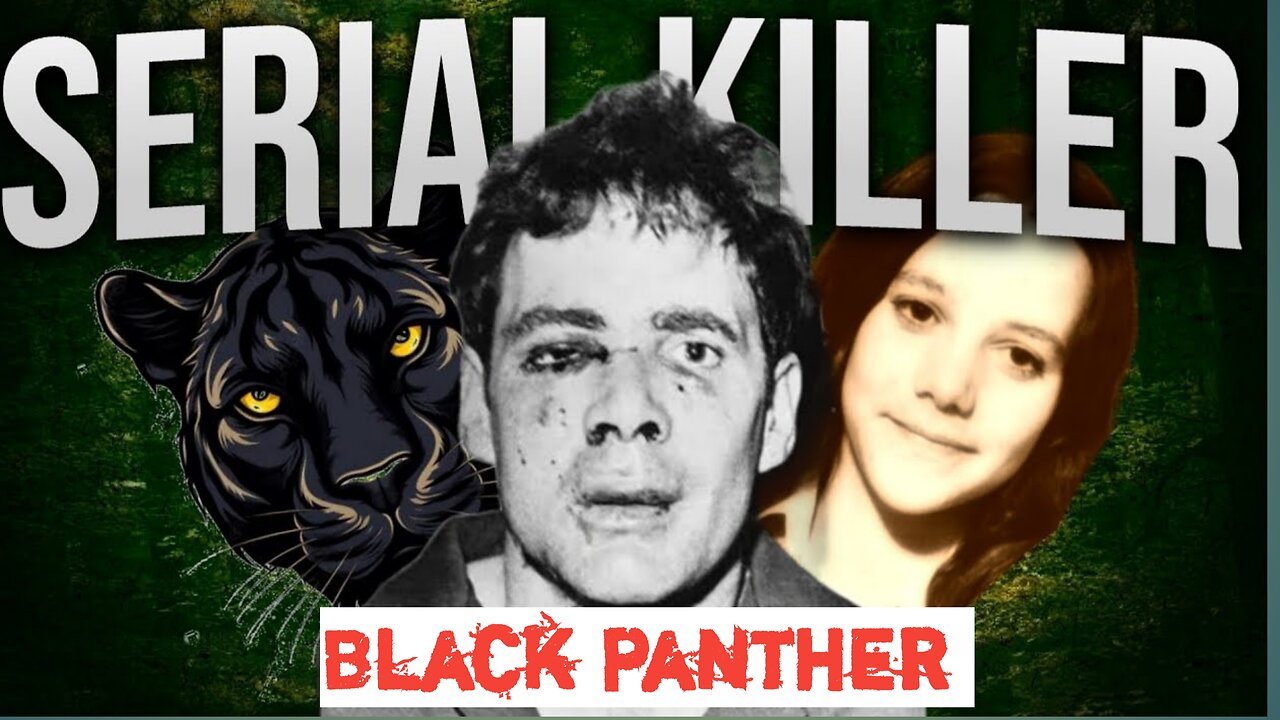 You'll Never Look At The Black Panthers The Same Way Again - True Crime Documentary