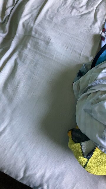 Turtle I made as a child