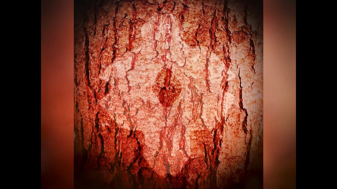 “Po Klere” By Augurs Audio Cult