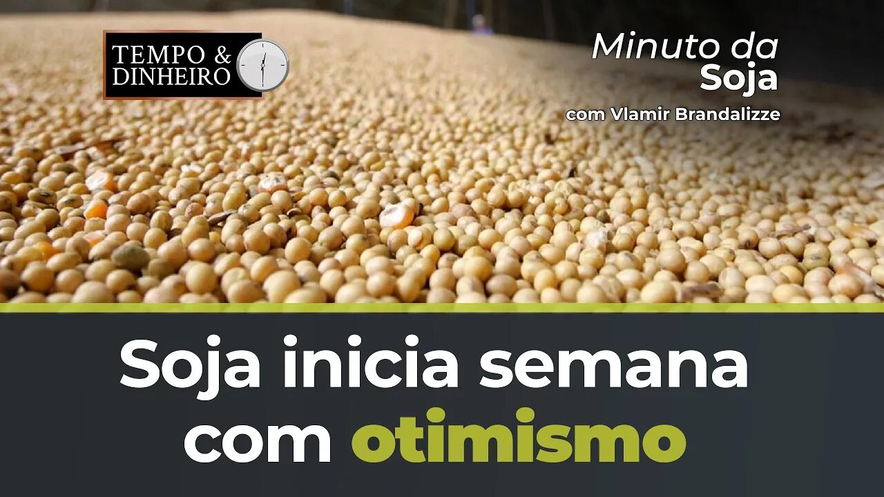 Soja começando semana com otimismo