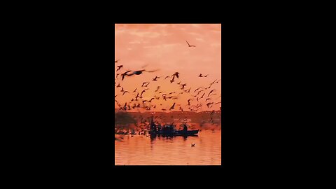 😍😍