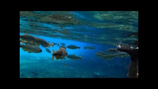 Flutação Rio da Prata Bonito MS 2021