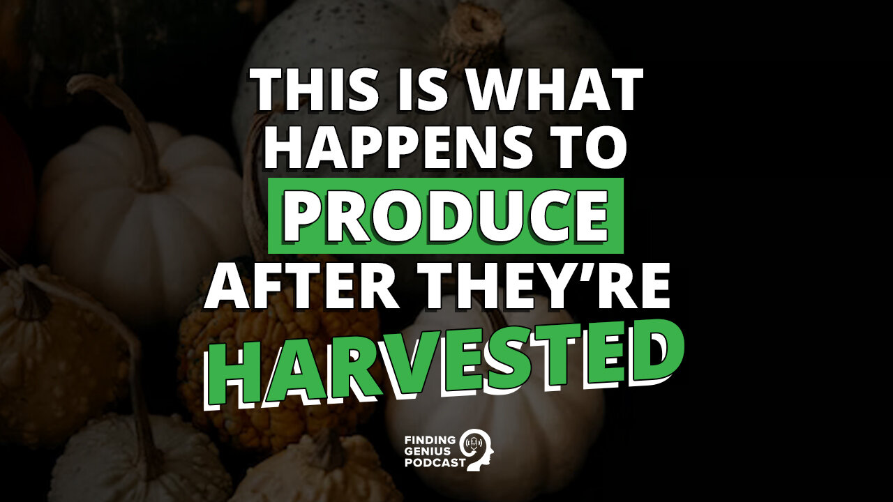 This Is What Happens to Produce After They’re Harvested