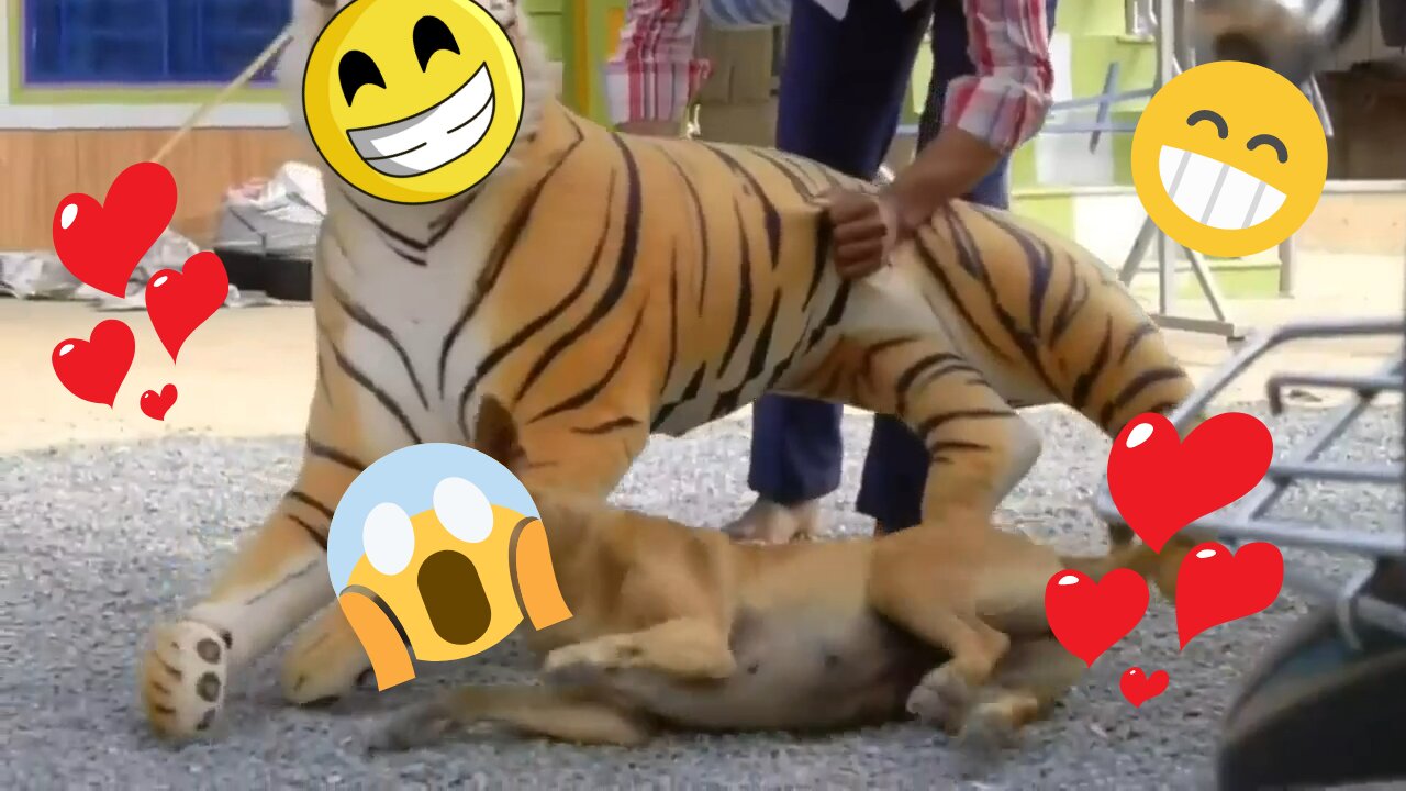 🤣funny pranks on dogs 🐶 with fake tiger 🐅and lion🦁