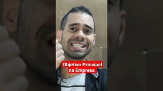 Qual é meu Objetivo Principal na Empresa