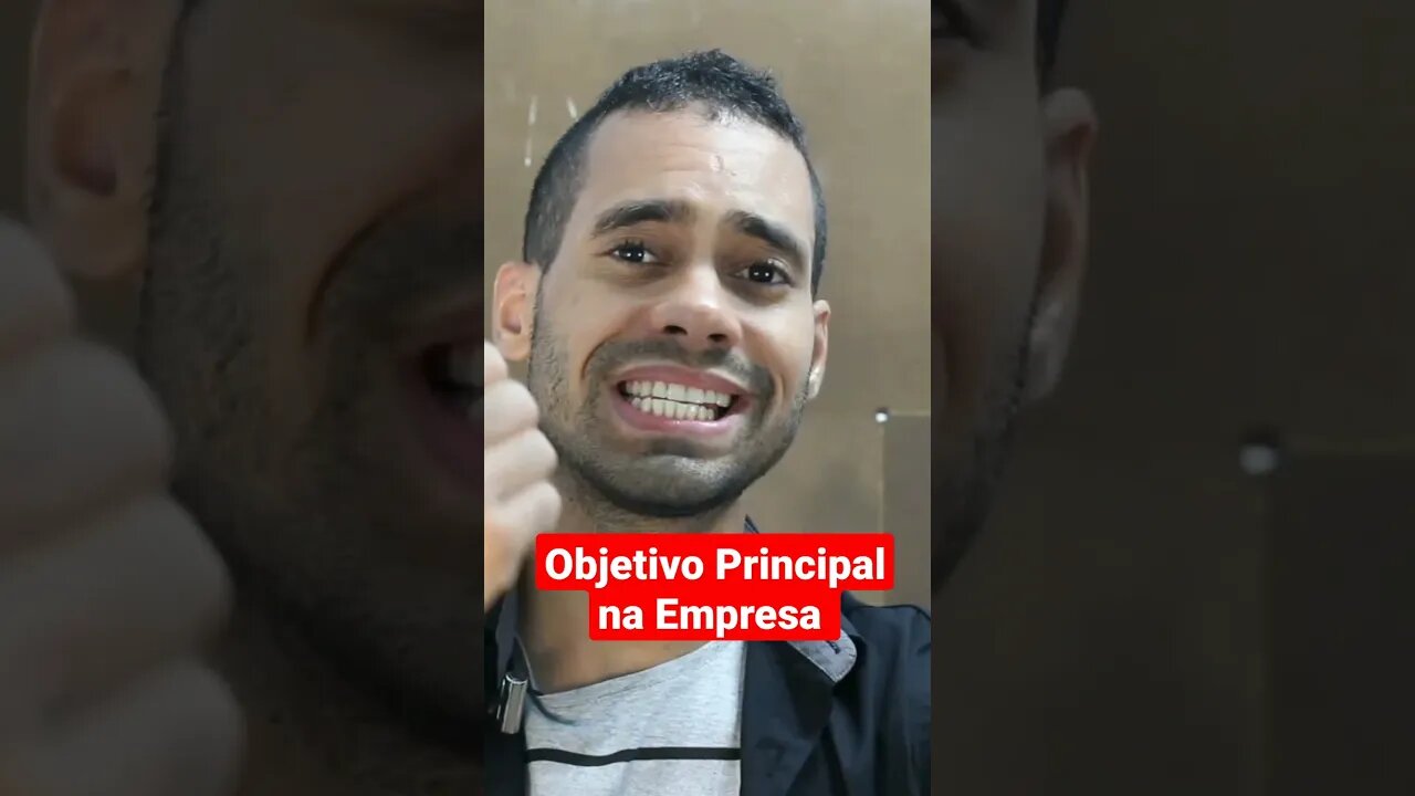 Qual é meu Objetivo Principal na Empresa