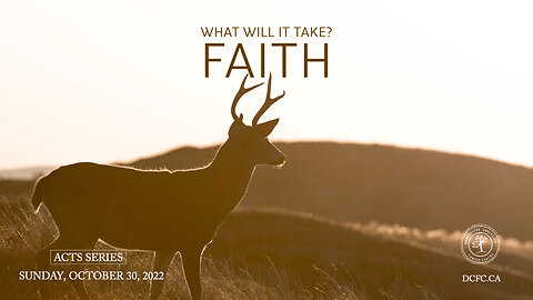 What will it take? Faith | October 30 2022 | Pastor Anita