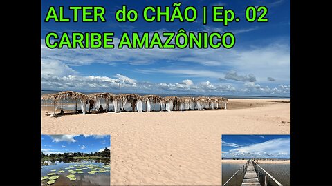 Canal do Jari e Vitória Régia - Alter do Chão #alterdochao #amazonas