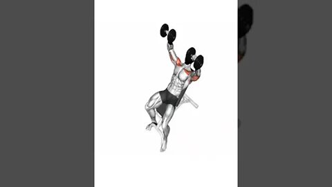 how to build chest by dumbbell? best exercise for upper chest,lower and biceps!