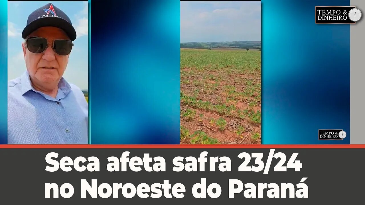 Seca afeta safra 23/24 no Noroeste do Paraná, mostra o João Eduardo Pasquini