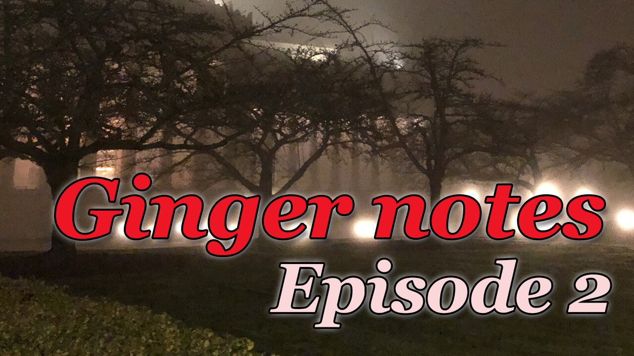 Ginger notes episode 2