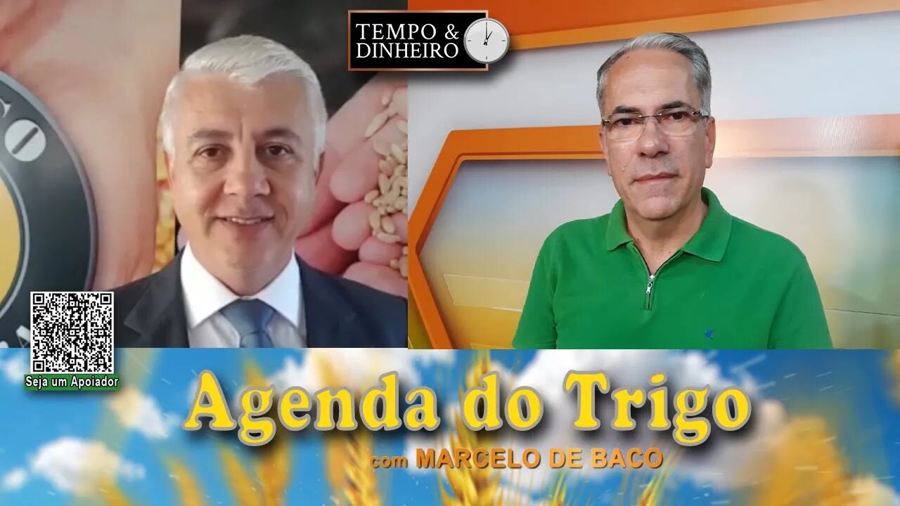 Tem oferta de trigo do Hemisfério Sul, mas a demanda...