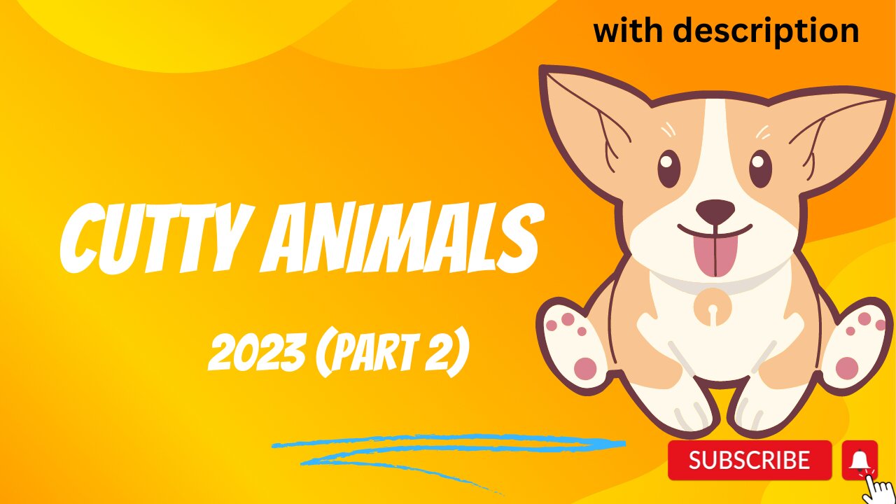 Cutty Animals 2023 (Part2)