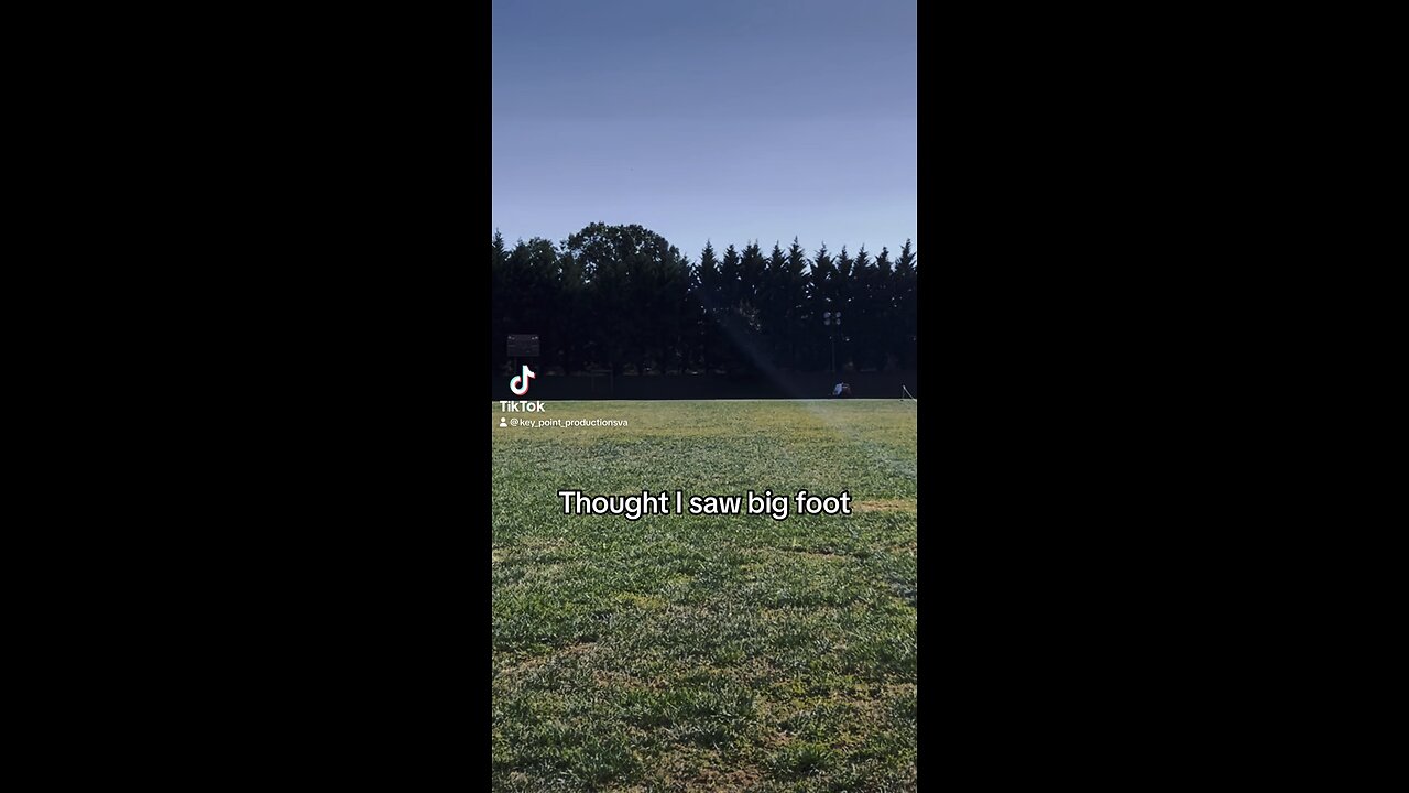 Keep your head on a swivel!