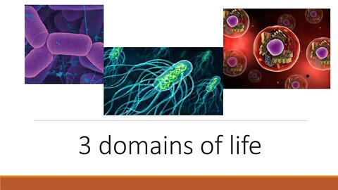 General Biology - 3 domains of life