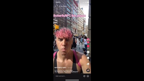 Hi I’m butterfly npc