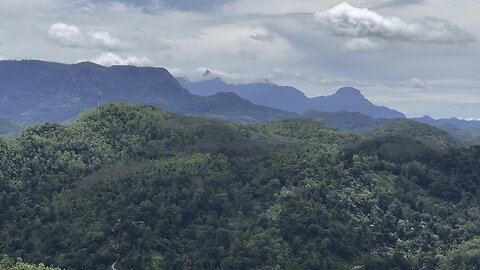 SRI PADAYA | SRILANKA