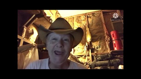 Lazy & Democracy ???