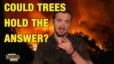 Could Trees Hold The Answer?