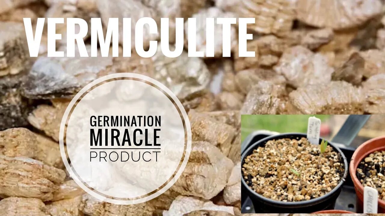 HOW TO USE VERMICULITE 101. A SOIL SCIENTISTS THOUGHTS ON THE PROS/CONS | Gardening in Canada 👩‍🔬