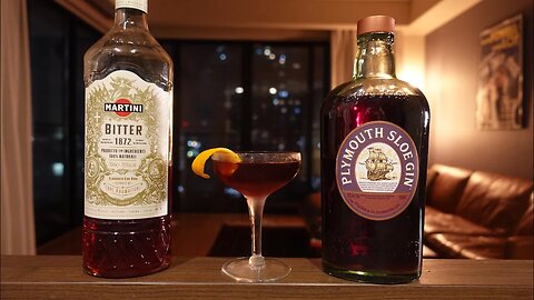 Sloegroni - A Beginner's Negroni?