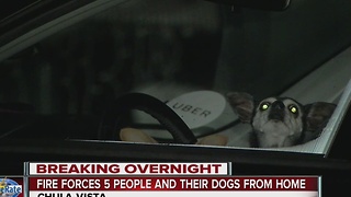 Fire forces five people and their dogs from their home