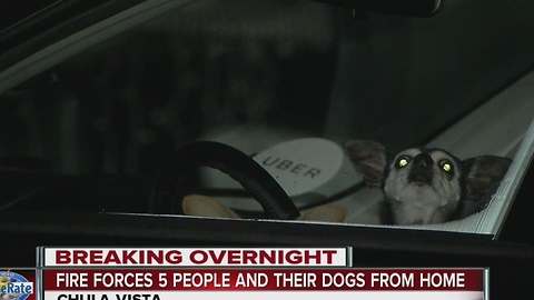 Fire forces five people and their dogs from their home