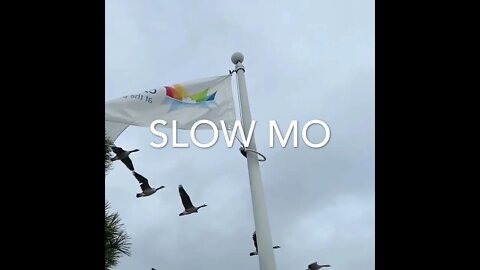 Example of Slo Mo