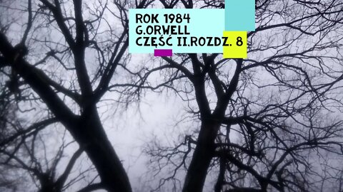 Rok 1984 - George Orwell część II, rozdz.8