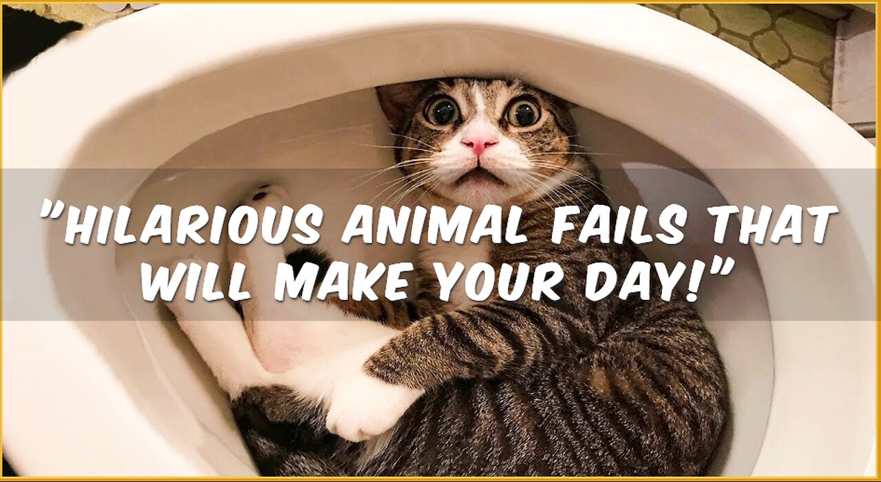 "Hilarious Animal Fails That Will Make Your Day!"