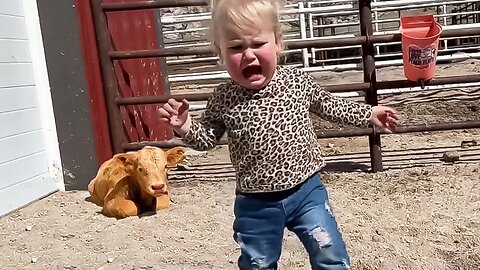 Funniest Moment Baby Meet Animals: You Better Run Run Run!