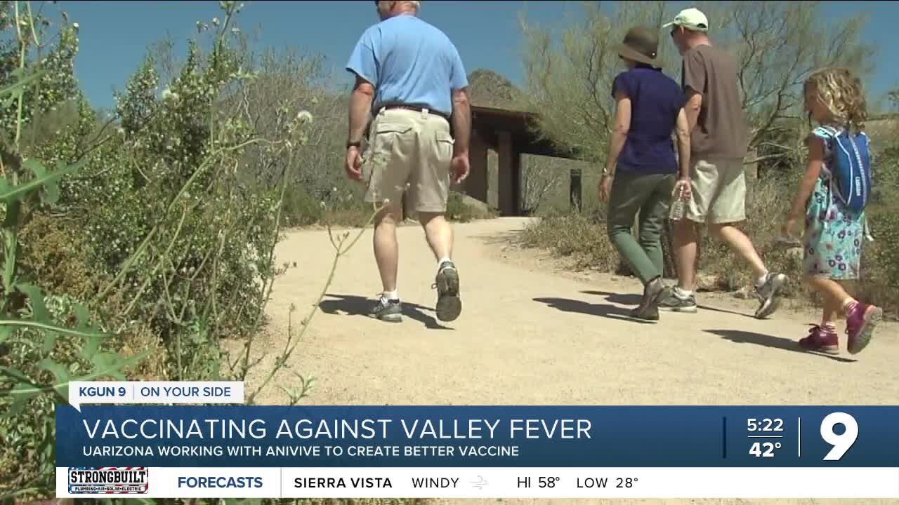 Vaccinating against Valley Fever