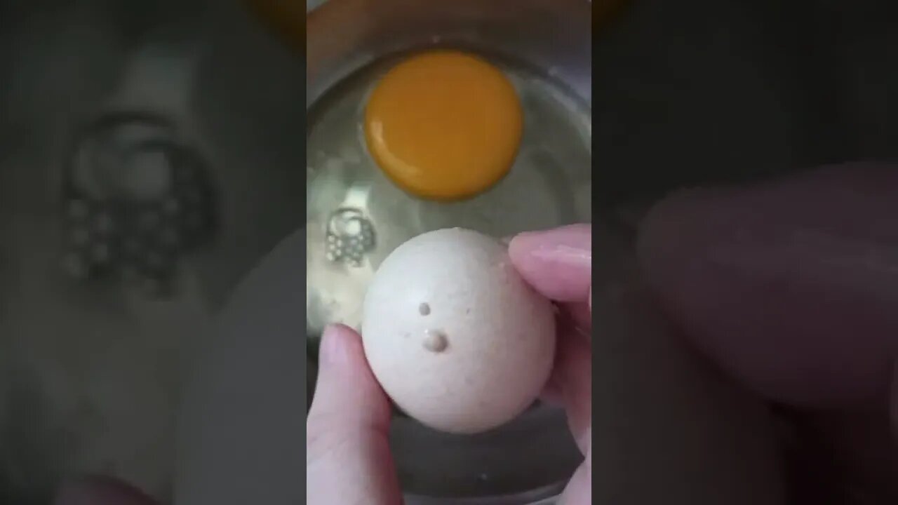 奇怪的蛋