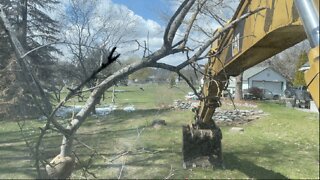 Site prepping a new Dig.