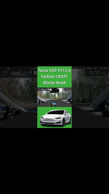 Tesla full self drive makes it up CRAZY road challenge #fsd #teslamodel3 #teslafsd