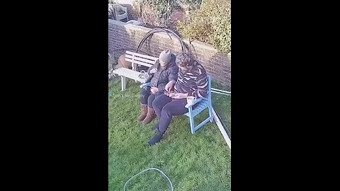 funny videos