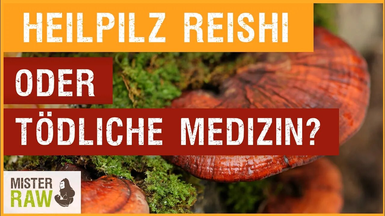 Heilpilz Reishi oder tödliche Medizin