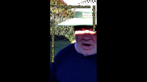 maurieos #shorts WHATS YOUR PROBLEM