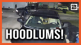 NOLA Shenanigans: Hoodlums Go Through Vehicle, Try to Break into Another in New Orleans