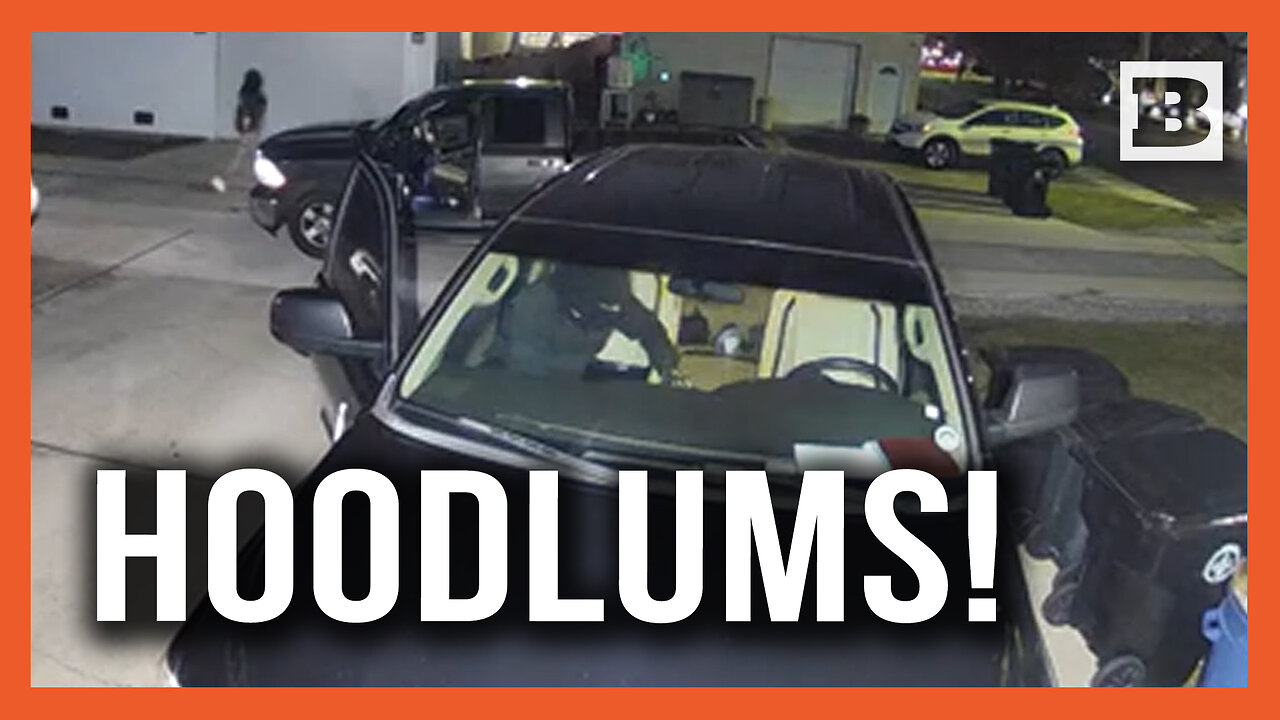 NOLA Shenanigans: Hoodlums Go Through Vehicle, Try to Break into Another in New Orleans