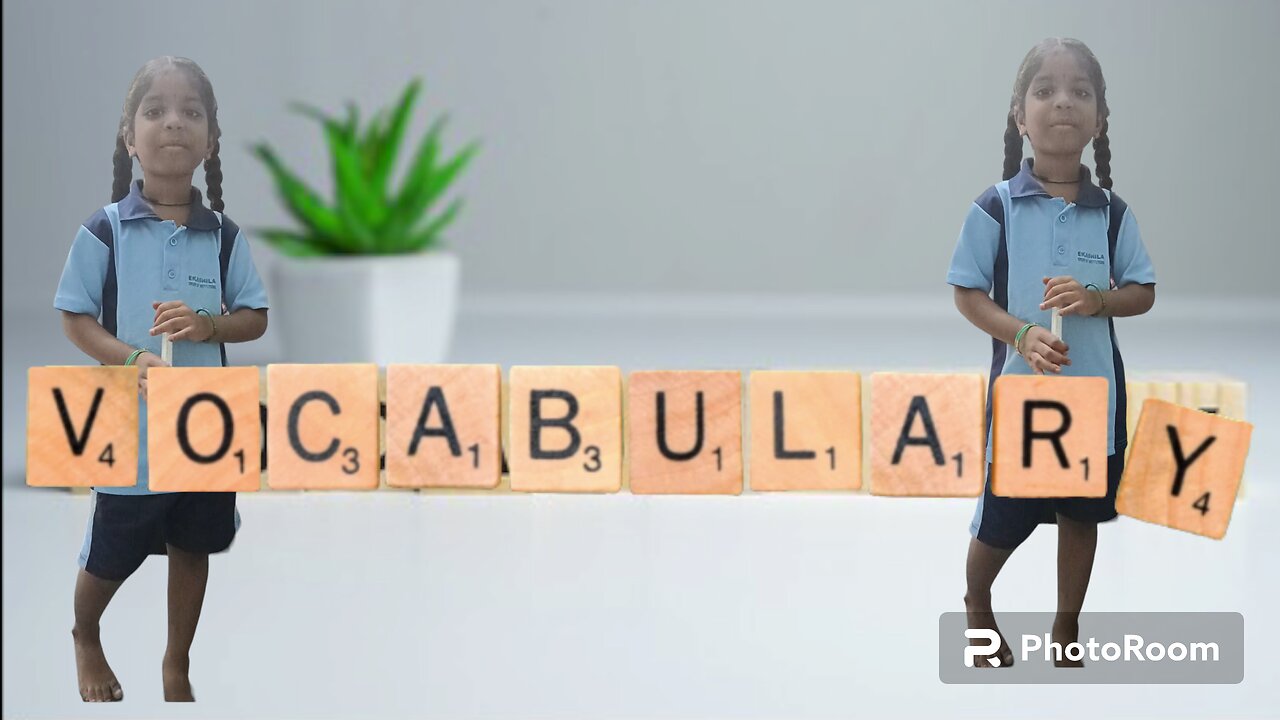 Vocabulary