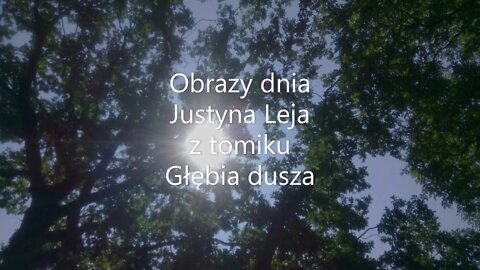 Obrazy dnia -Justyna Leja