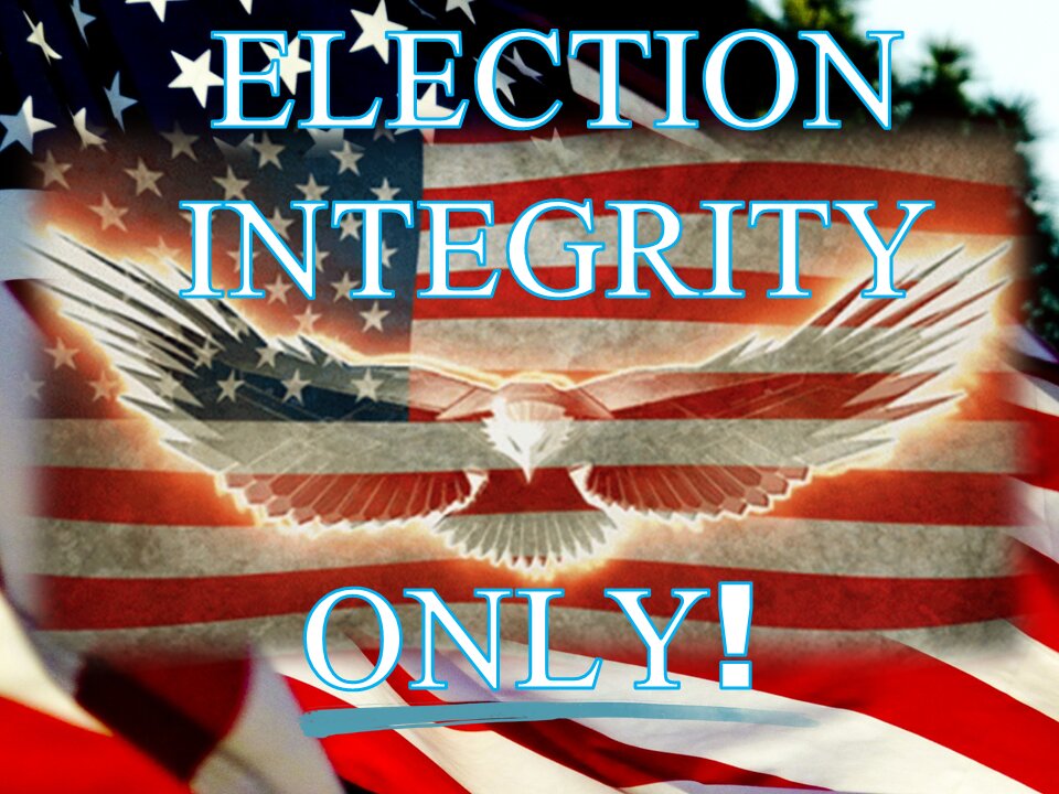 Real Election Integrity Efforts!