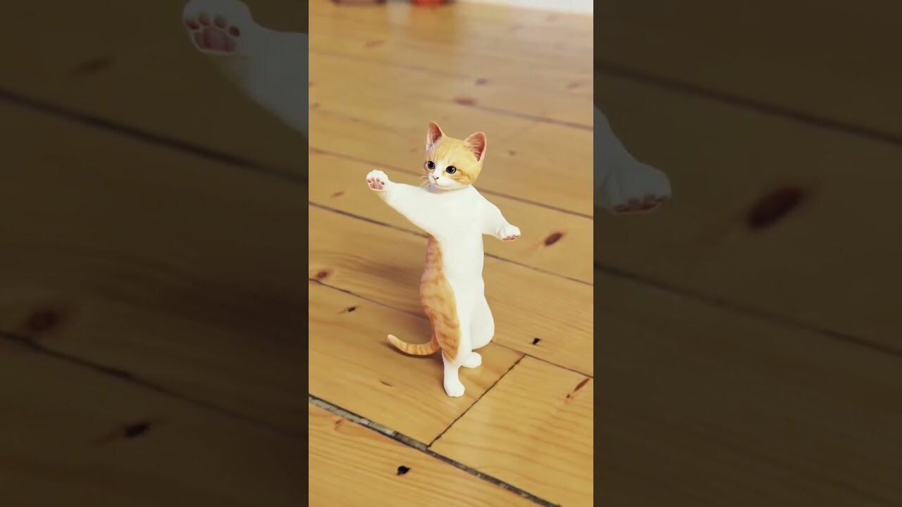 Funny Cat Dance 🤣🤣🤣🤣